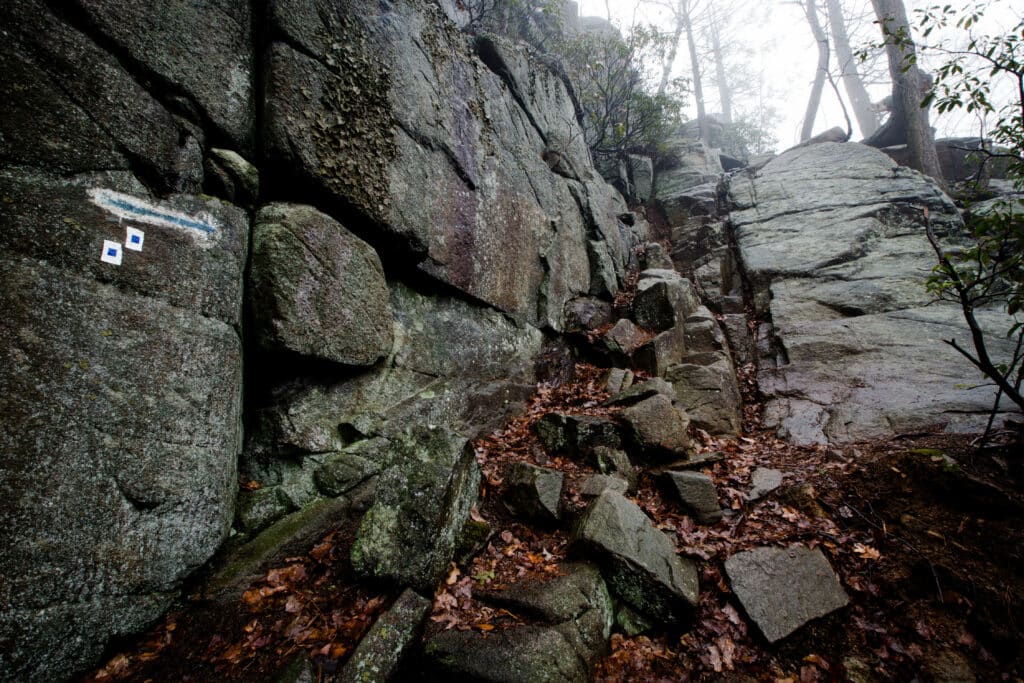 Hiking Trail in Harriman