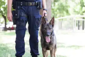 Police officer with K-9