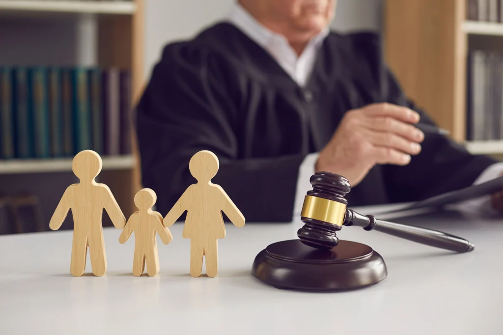 Child custody law
